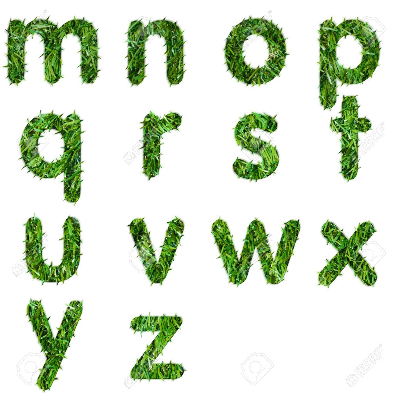 Buchstaben M N O P Q R S T U V W X Y Z Von Grunem Gras Getrennt Hergestellt Lizenzfreie Fotos Bilder Und Stock Fotografie Image 26587044