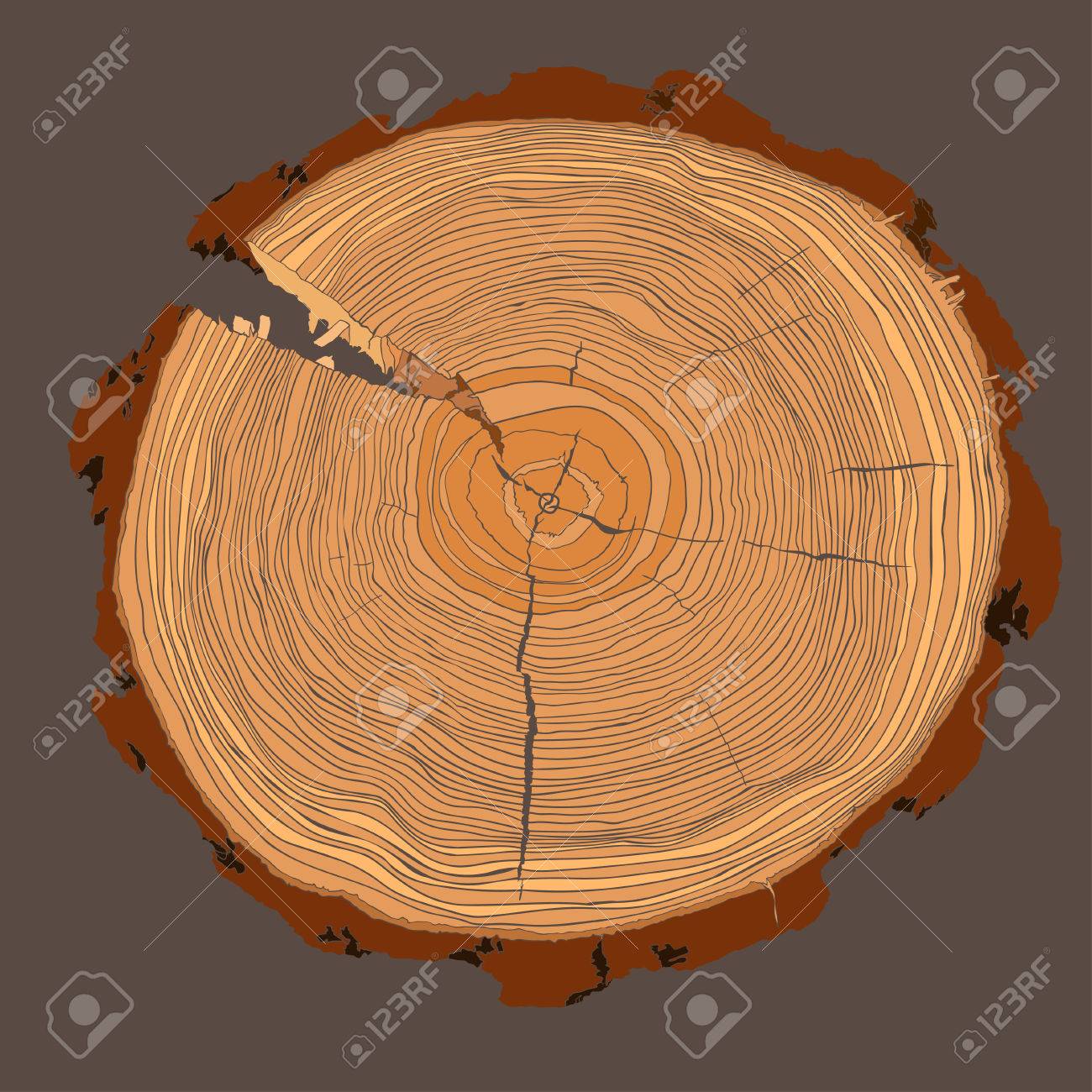 Bague Dessin Anneaux De Croissance Des Arbres Annuelles Avec Le Bague Dessin Anneaux De Croissance Des Arbres Annuelles Avec Le Dessin En Niveaux De Gris L Bague Dessin Anneaux De Croissance Des Arbres Annuelles Avec Le Bague Dessin Anneaux De Croissance Des Arbres Annuelles Avec Le Dessin En Niveaux De Gris L