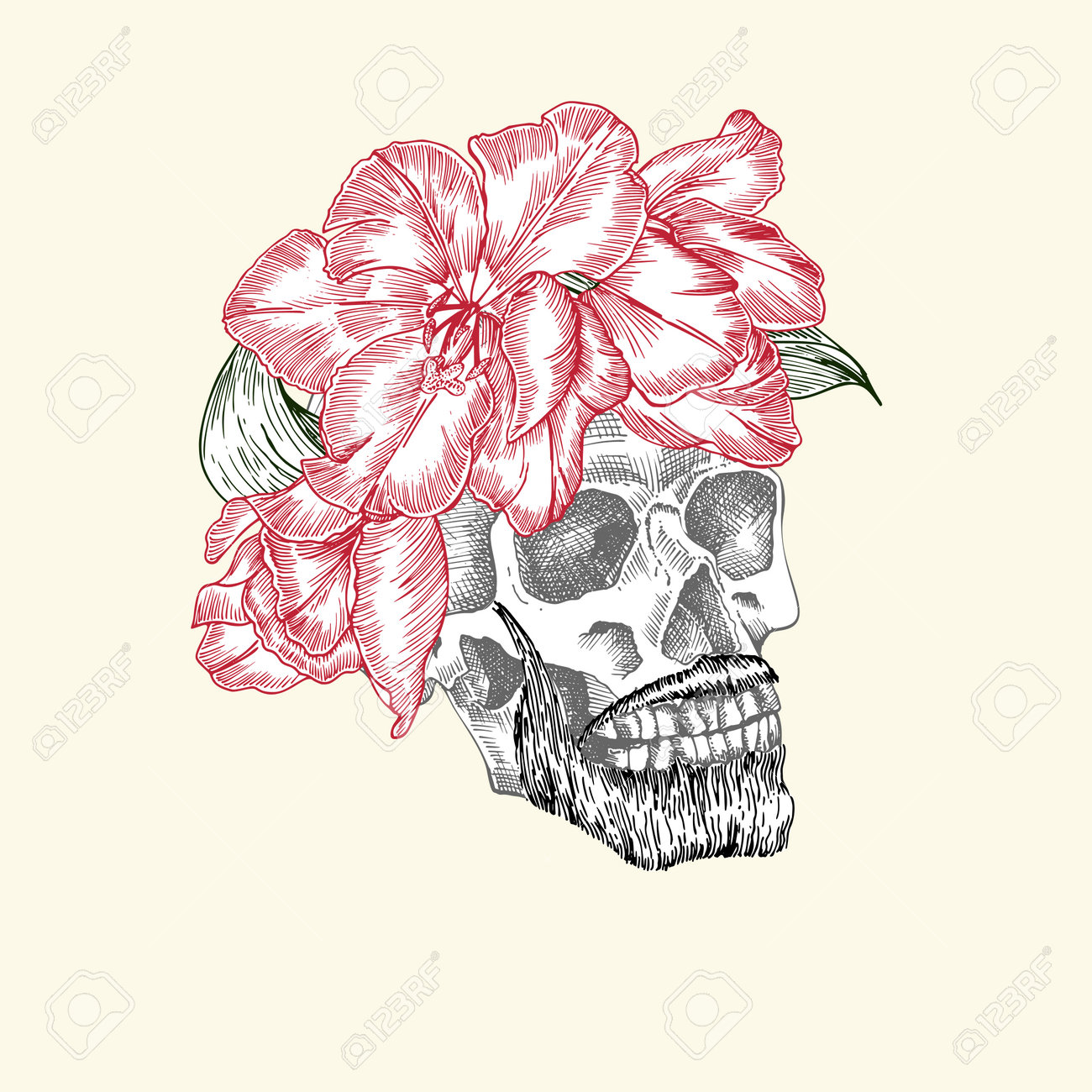 Hand drawn sketch human skull with beard and mustache in wreath of flowers. Red tulip Funny character Black graphic Engraving art isolated on white background. Vintage style. Vector - 161190924 Hand drawn sketch human skull with beard and mustache in wreath of flowers. Red tulip Funny character Black graphic Engraving art isolated on white background. Vintage style. Vector - 161190924