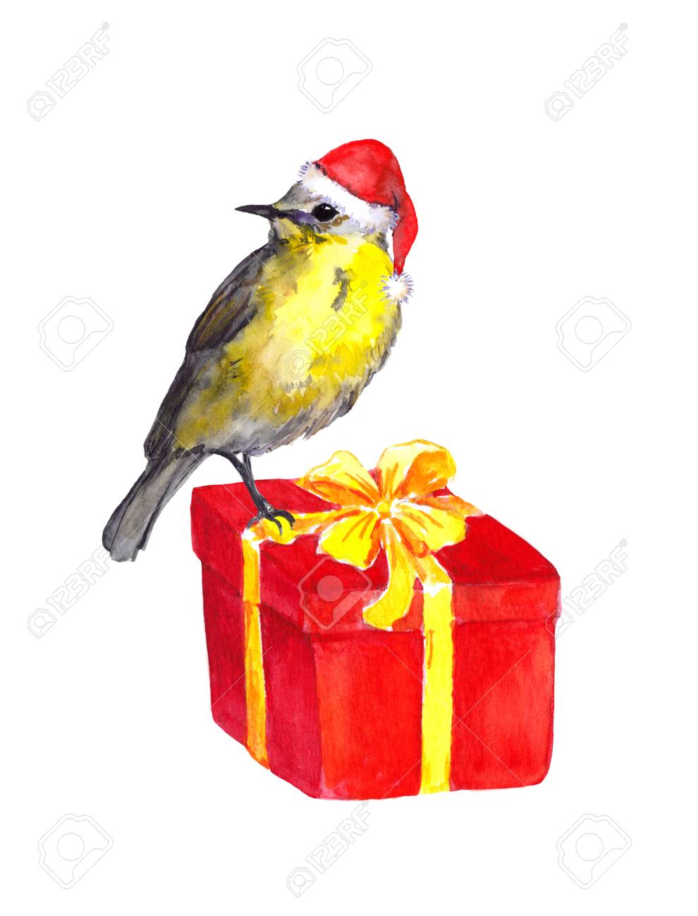 Oiseau Mignon En Rouge Chapeau De Père Noël Sur Le Rouge Boîte Cadeau De Noël Aquarelle