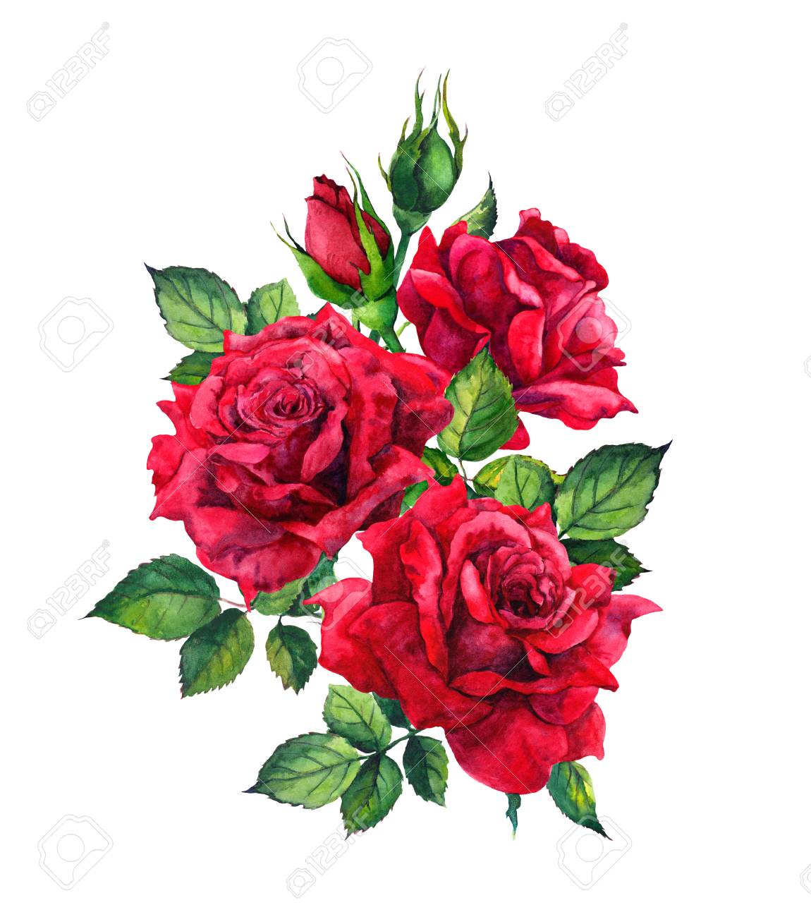 Red Roses Watercolor Sketch